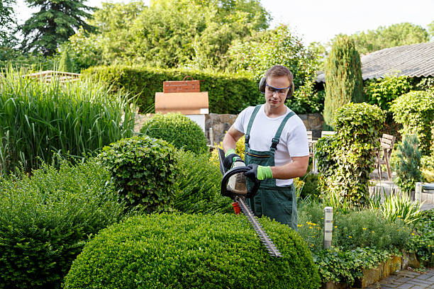 Best Weed Control  in Lake City, GA